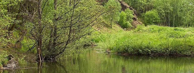 Steinbruch Hasselichskopf
