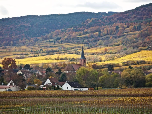 Kirche Forst 3