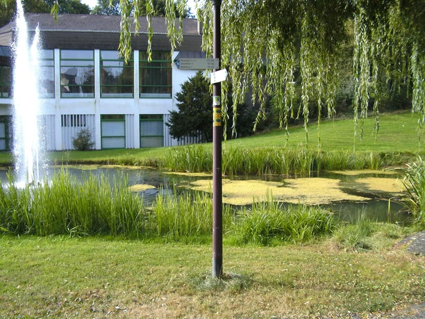 Wasserfontäne im Kurpark