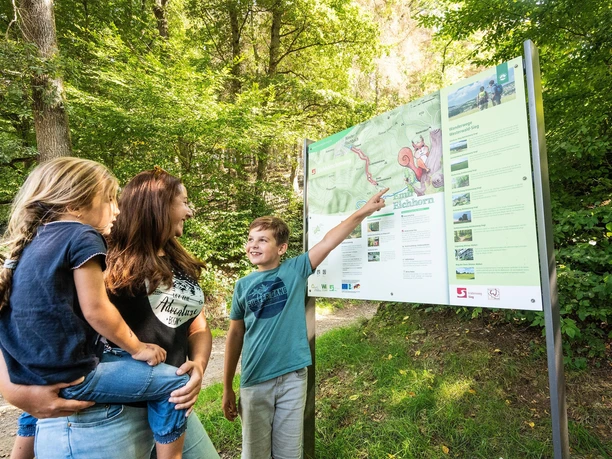 Startpunkt Eichhörnchenweg
