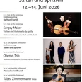 Plakat des Schlosskonzerte-Festivals Saiten und Sp