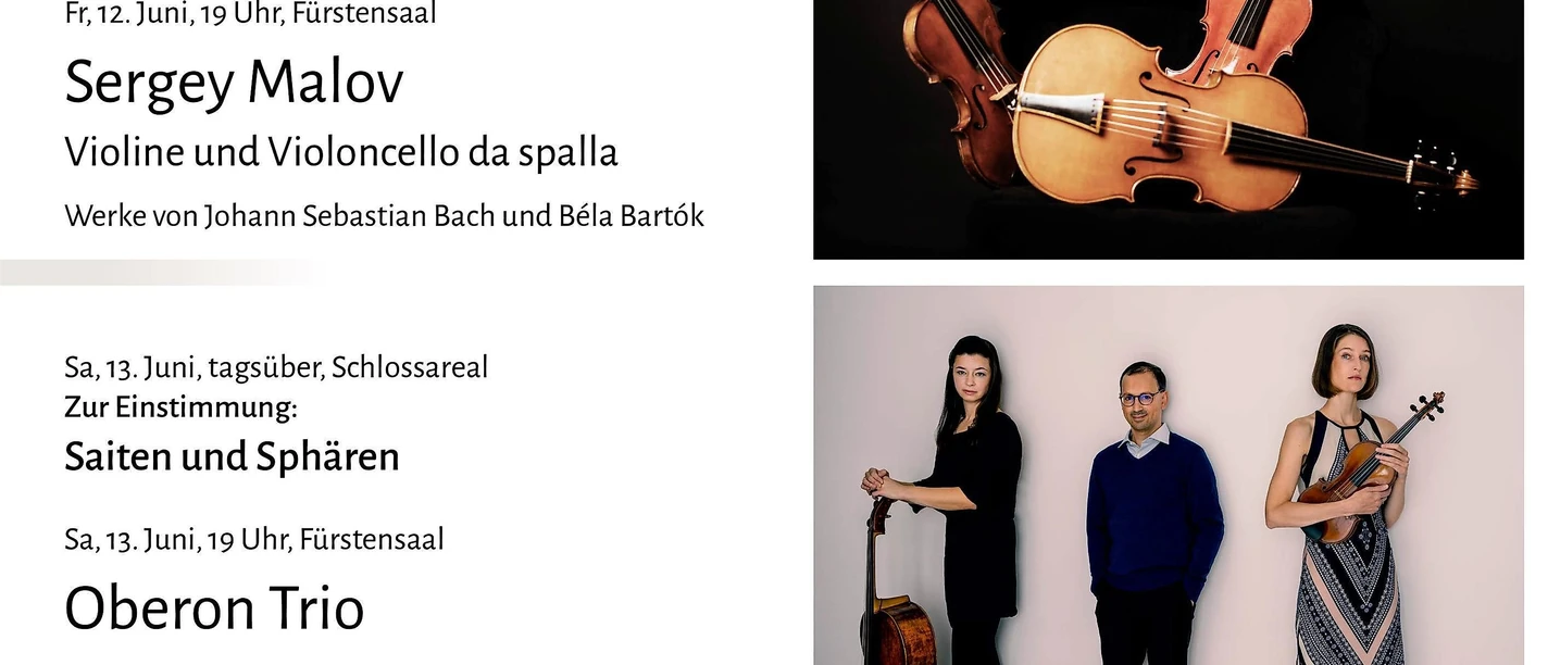 Plakat des Schlosskonzerte-Festivals Saiten und Sp