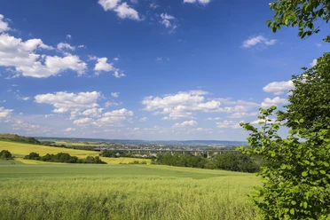 Tolle Landschaft in der Pellenz