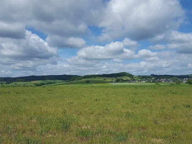 Richtung Aueler Drees