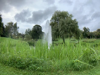 Kurpark Manderscheid