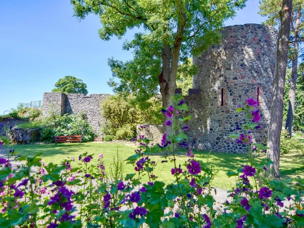Schlossruine Amöneburg im Frühling