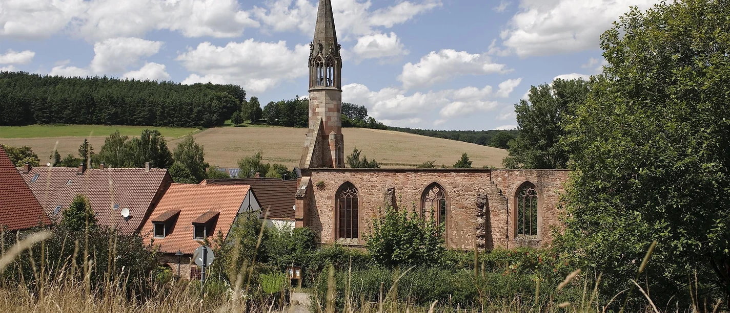Blick auf das Kloster Rosenthal
