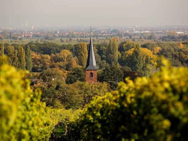 Kirche Forst 2