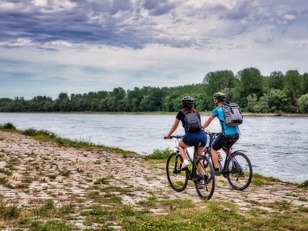 Radler entlang des Rheins bei Neuburg