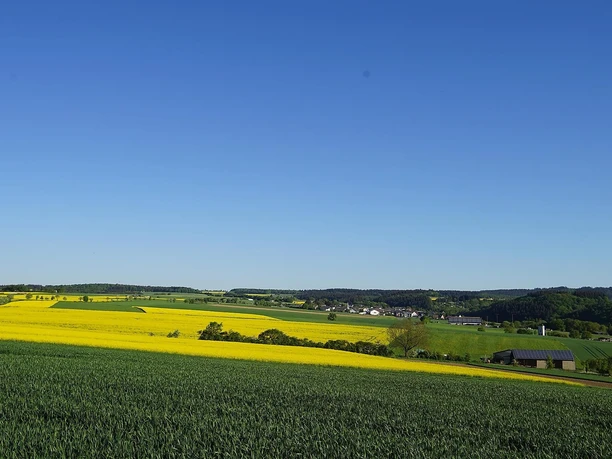 Ausblick