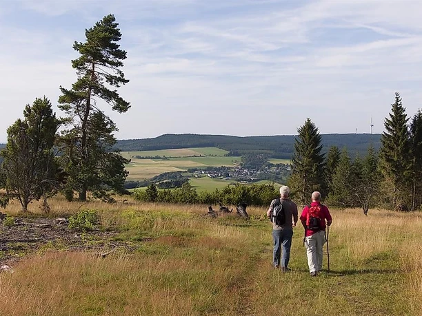 Hinein in die Wacholderheide