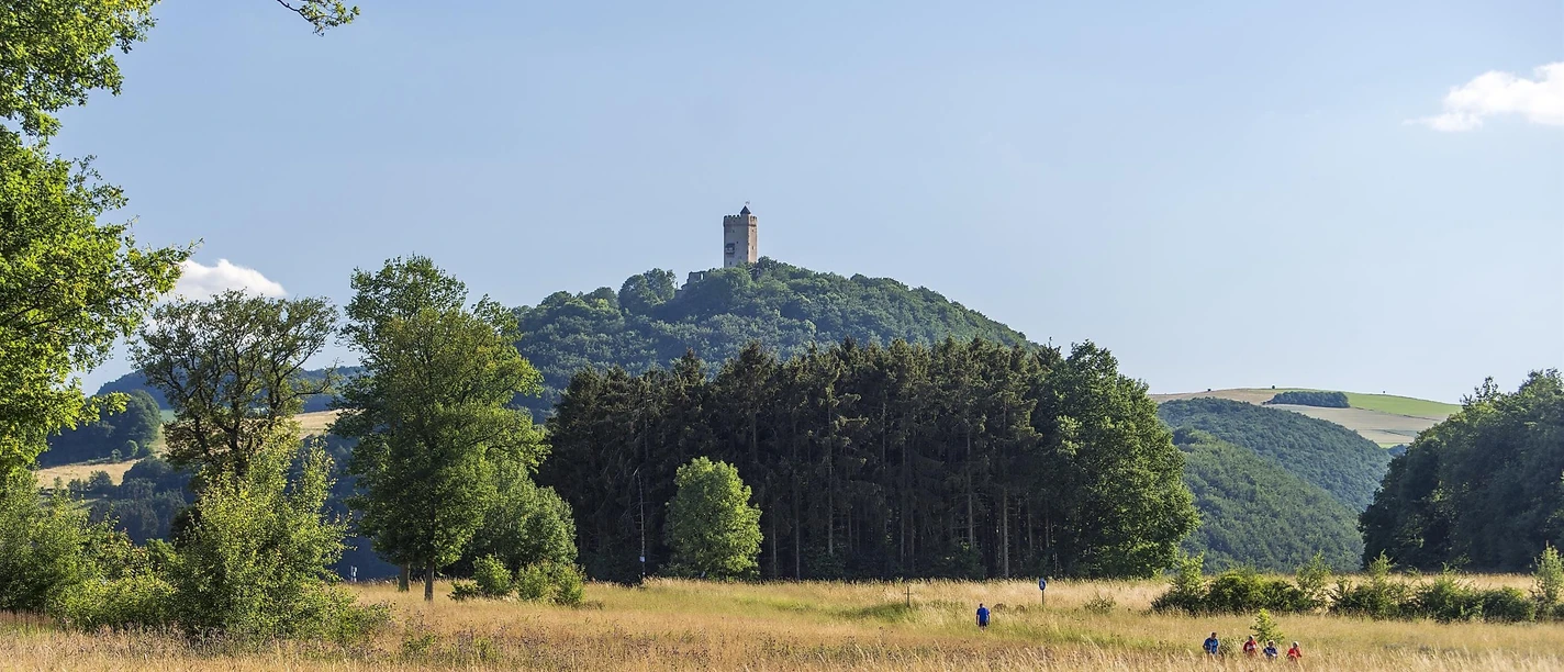 Blick auf Burg Olbrück
