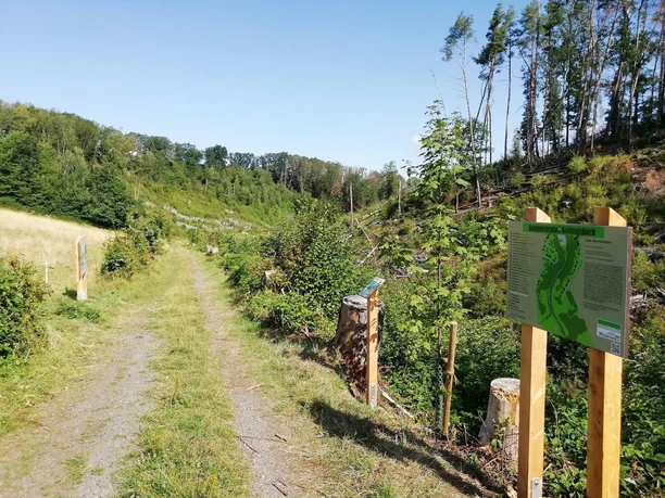 Baumlehrpfad oberer Zugang