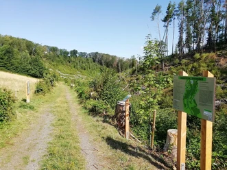 Baumlehrpfad oberer Zugang