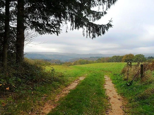 Ausblick auf den Hochwald