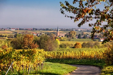 Terroirwandertag 1