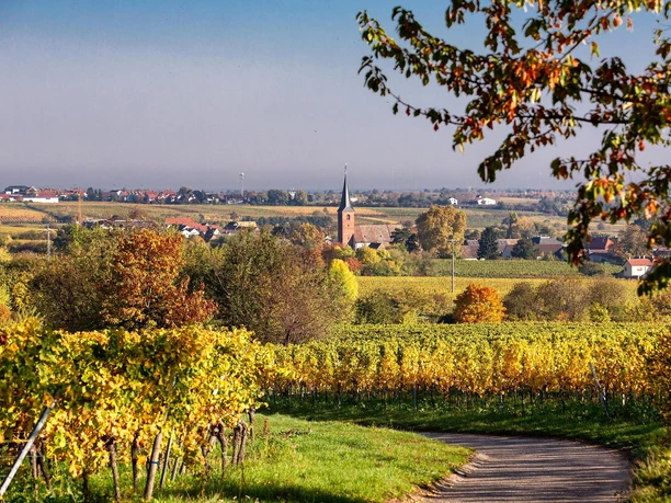 Terroirwandertag 1
