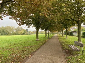 Park am Rathaus Offenbach (6)