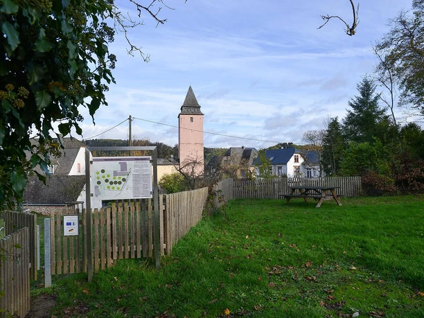 Ostbaumlehrpfad in Kyllburg