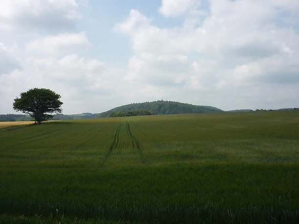 Vorbei an Feld und Flur