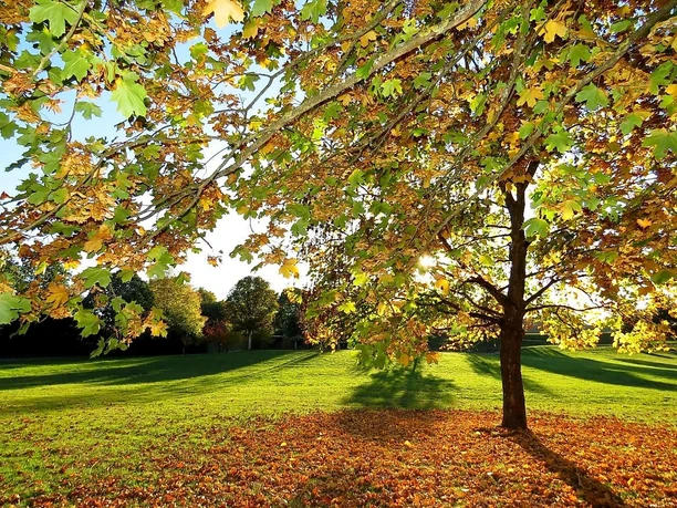 Stadtpark