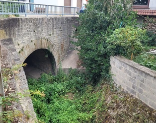 sog. Gebück Großwinternheim