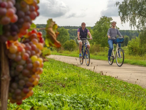 Radfahrer (2)