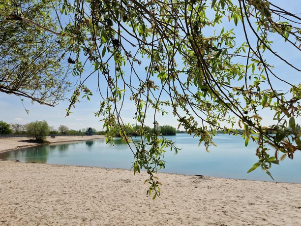Pfarrwiesensee Gimbsheim