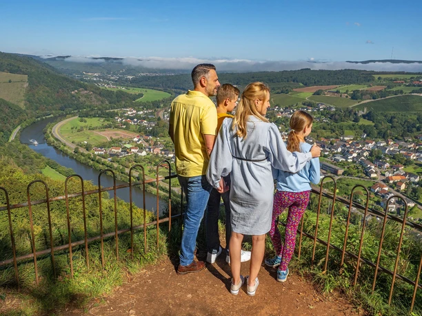 Blick ins Saartal