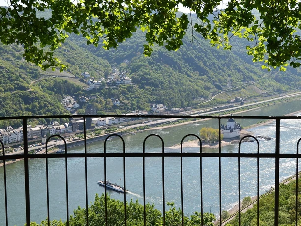 Sauzahn