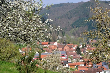 Blick auf Eußerthal