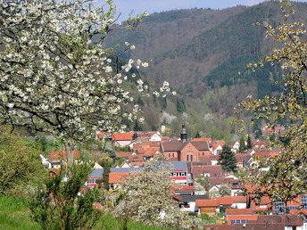 Blick auf Eußerthal