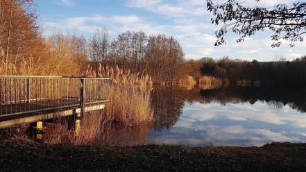 Herbst am Biotopweiher
