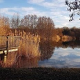 Herbst am Biotopweiher