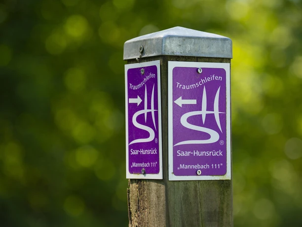 Traumschleife Mannebach 111