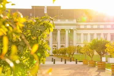 Kurfürstliches Schloss im Sonnenaufgang
