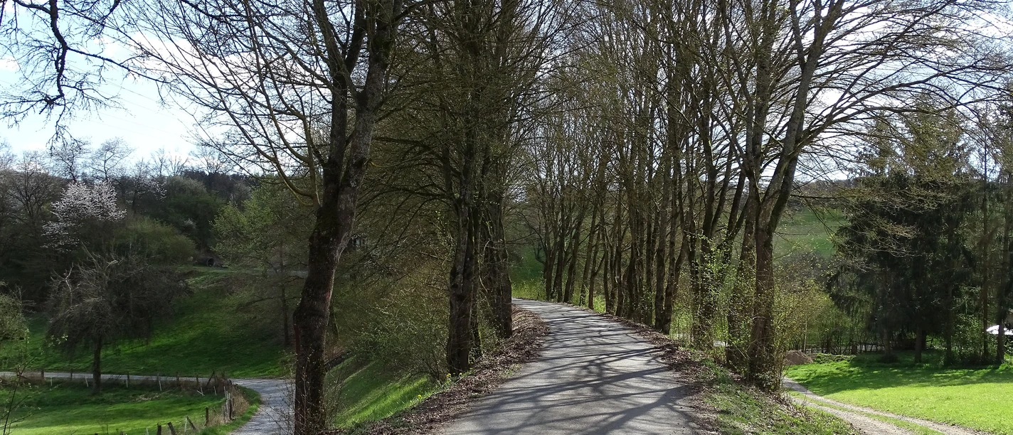 Dammstrasse Tiefenbach