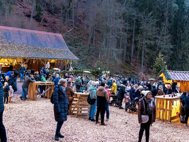 Rinnthaler Winterwald