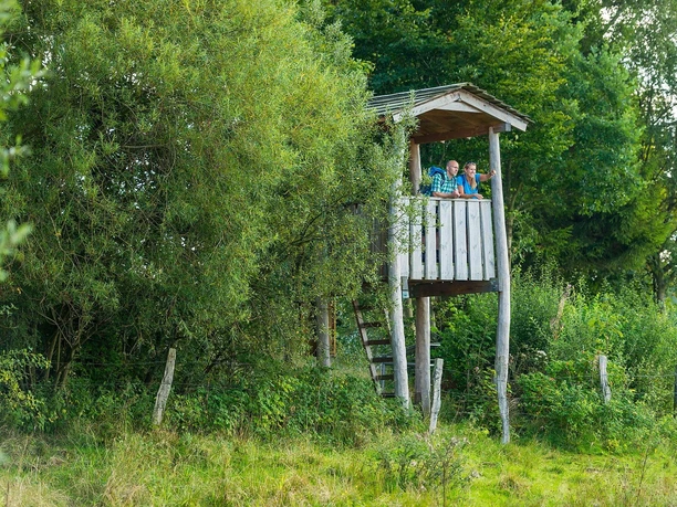 Hochsitz am Dreifelder Weiher 1