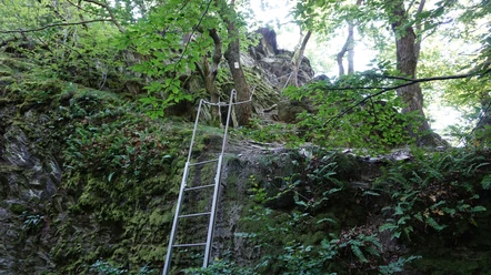 Klettersteig Obernhof