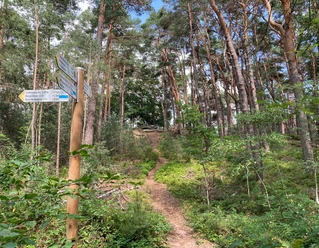 Pfad zum Brezelstein mit Wegweiser