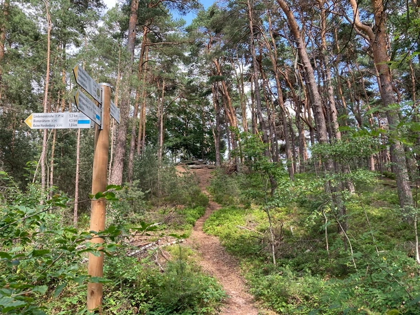 Pfad zum Brezelstein mit Wegweiser