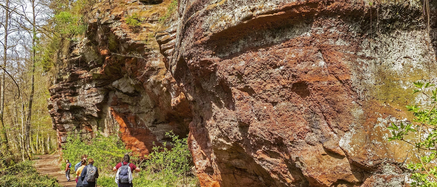 Kollesleuker Schweiz