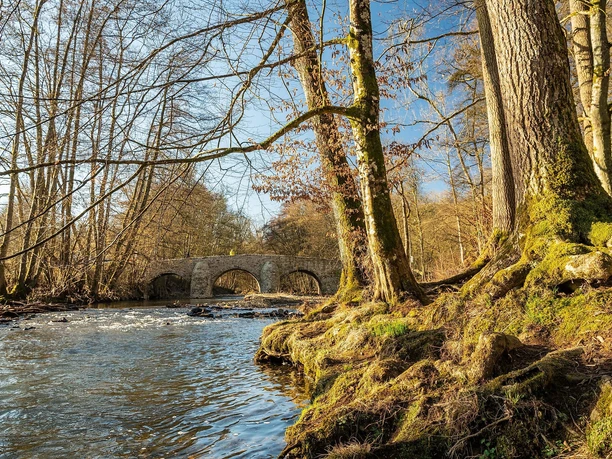 Nister bei Abtei Marienstatt