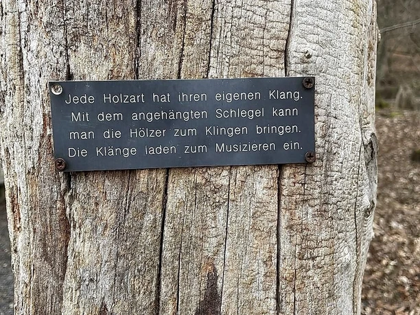 Text zum Dendrophon Marienstatt
