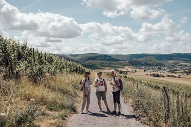 SAARKIND self walk Weinwanderung (1)