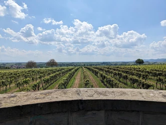 Ausblick Richtung Süden