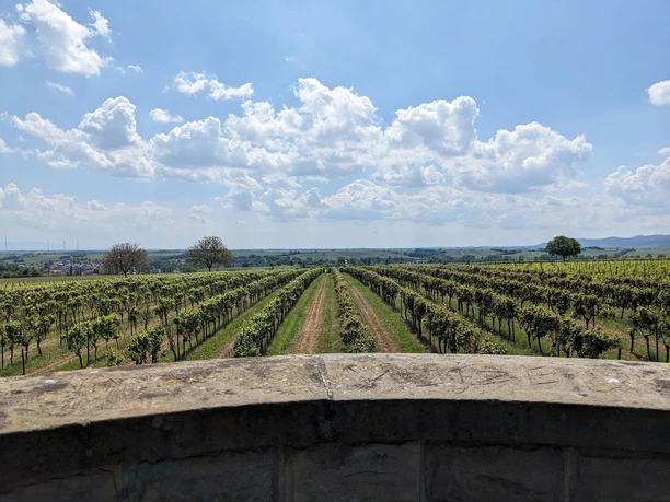 Ausblick Richtung Süden