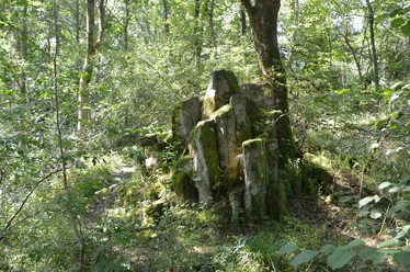 Hohenseelbachskopf