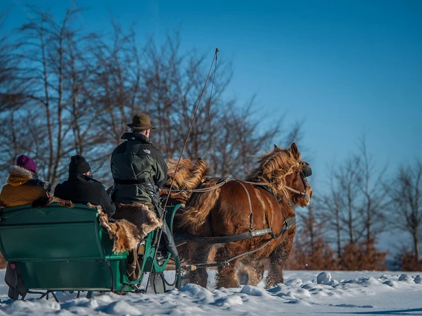 Pferdeschlitten Bauershof